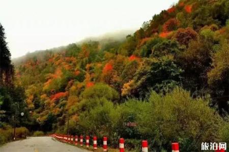 太白县2019红叶节10月16日开启 附活动时间安排+优惠门票