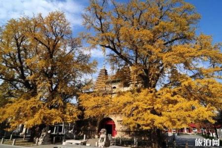 北京五塔寺秋季旅游攻略