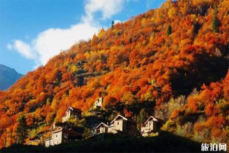 10月四川红叶哪里最好看 四川赏秋红叶胜地红叶情况