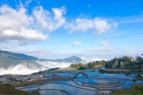 云南旅游要花多少钱