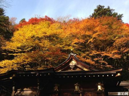 日本秋季赏枫叶时间 2019日本京都京+大阪都赏枫叶最佳地点时间