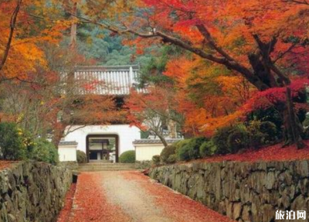 北京香山红叶什么时候看最合适 2019北京香山红叶节的时间+门票优惠