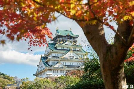 日本秋季赏枫叶时间 2019日本京都京+大阪都赏枫叶最佳地点时间