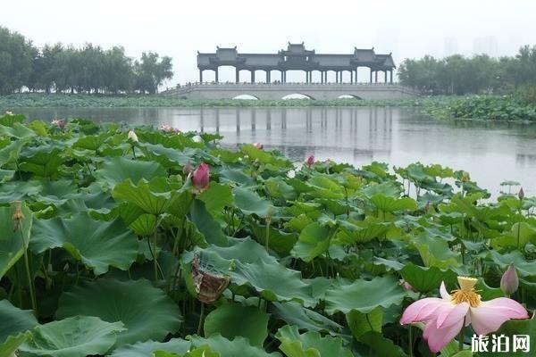 武汉沙湖公园可以钓鱼吗
