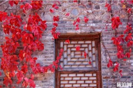 2019年北京红叶节什么时候开始+地点+门票+活动介绍