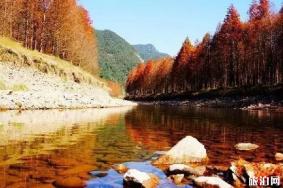 11月份适合去哪里旅游国内