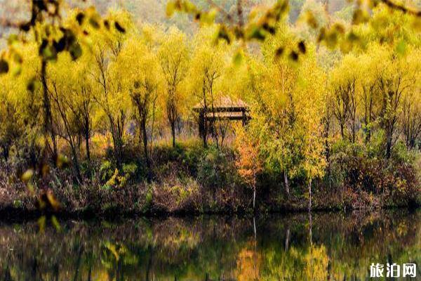 北京玉渡山白叶能到甚么时候 附2019玉渡山白叶节疑息+门票疑息