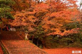 2019日本山阳山阴地区枫叶观赏地点推荐+最佳观赏期