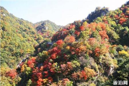 2019年10月洛阳免费景区推荐