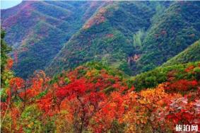 2019年10月洛阳免费景区推荐