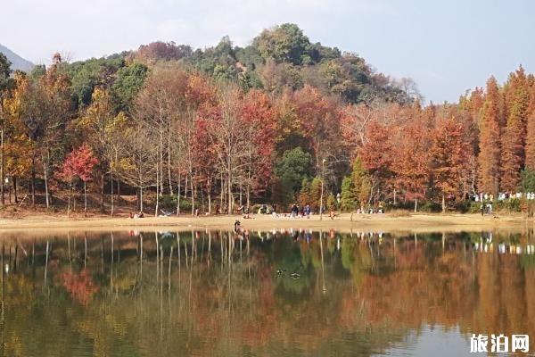 杭州适合秋游的地方 杭州适合秋天玩的景点
