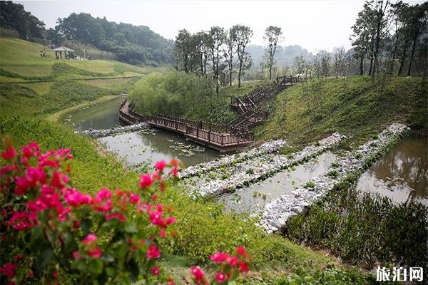 深圳簕杜鹃谷公园正在那里 附园区舆图