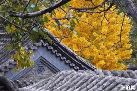 北京海淀秋天哪里好玩