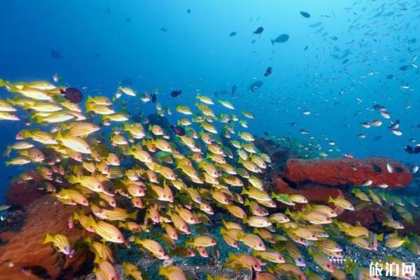 托吉安群岛潜水点分布推荐