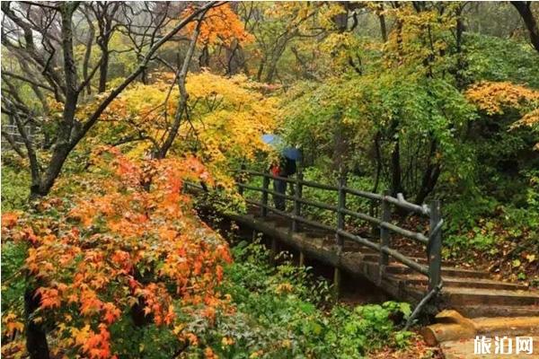 2019年尧山红叶节时间+门票+地址+活动介绍