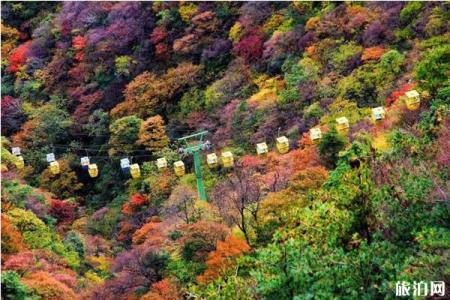 2019年尧山红叶节时间+门票+地址+活动介绍