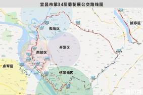 2019宜昌菊花展夷陵区龙泉古镇10月24日开启 附菊花展信息