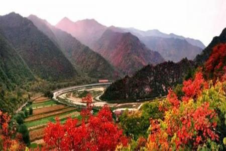 陕西秦岭红叶最佳观赏时间 附2019陕西秦岭红叶节