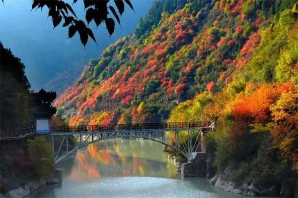 陕西秦岭红叶最佳观赏时间 附2019陕西秦岭红叶节