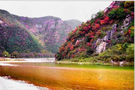 陕西秦岭红叶最佳观赏时间 附2019陕西秦岭红叶节