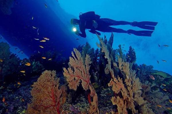 丹老群岛潜水最佳时间 丹老群岛潜点推荐