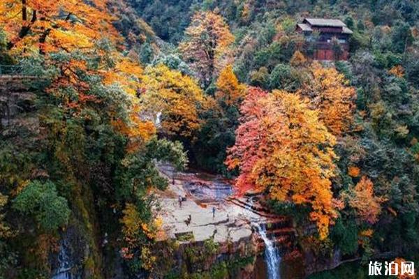 2019小草坝红叶节时间+地点+门票+活动介绍