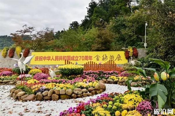 2019贵阳阿哈湖国家湿地公园菊花展10月8日开启 持续时间+菊展介绍