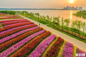 2019东海水晶节是哪一天+地点+活动 东海水晶节请来的明星有哪些