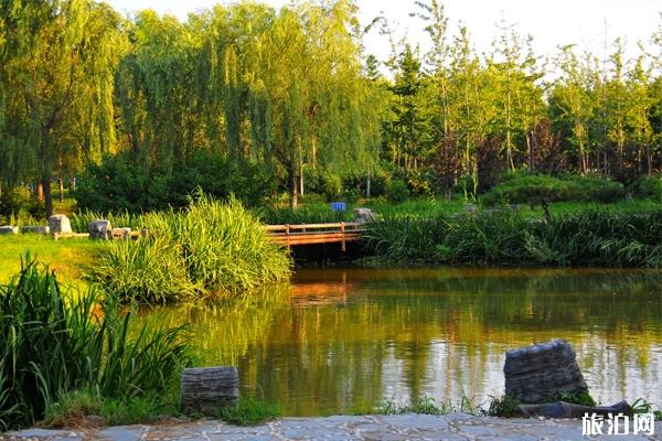秋天去秋天去大运河森林公园好看吗 大运河森林公园门票+地点+交通