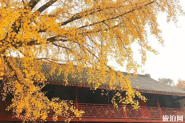 南京秋季旅游景点推荐