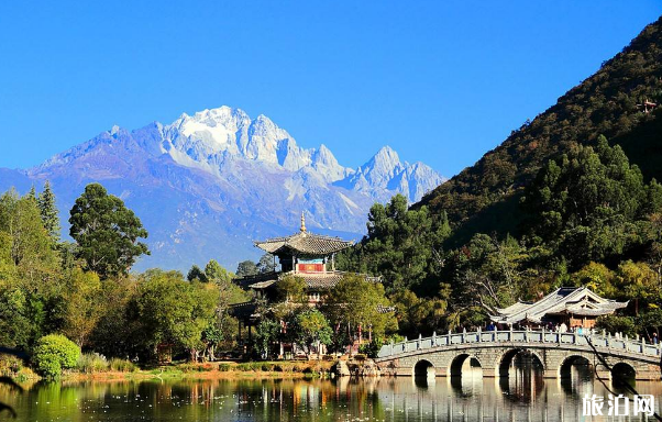 去丽江跟团好还是包车好