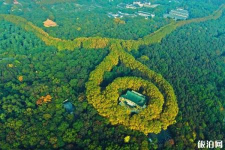 南京秋季旅游景点推荐