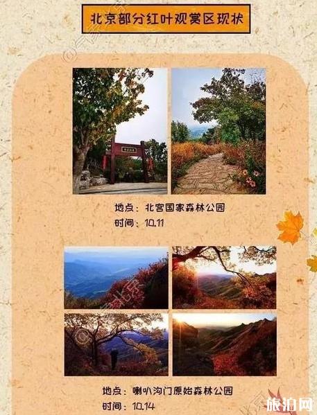 北京紅葉觀賞地圖 北京紅葉什么時候觀賞最好