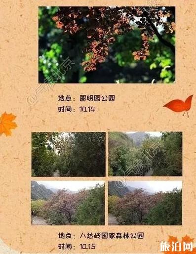 北京紅葉觀賞地圖 北京紅葉什么時候觀賞最好