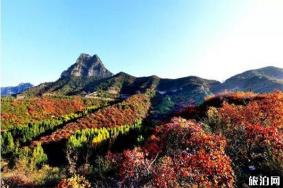 洛阳赏秋景区优惠信息汇总 荆紫仙山+黛眉山+青要山
