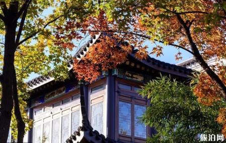 2019北京秋天赏红叶的地方有哪些
