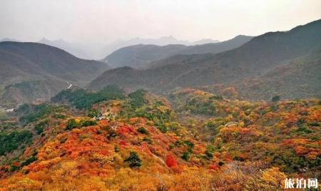 2019北京秋天赏红叶的地方有哪些