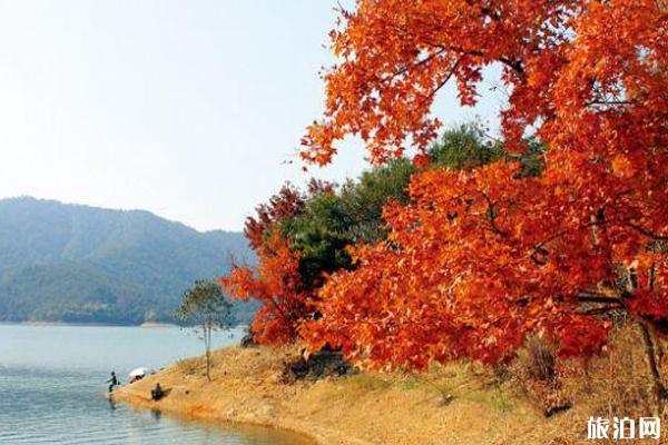 惠州秋天去哪里旅游+景点攻略