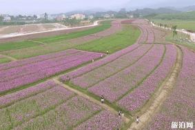 惠州秋天去哪里旅游+景點攻略