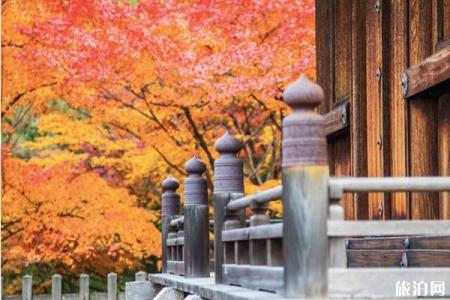 岚山枫叶2019最佳时间+观赏地点推荐