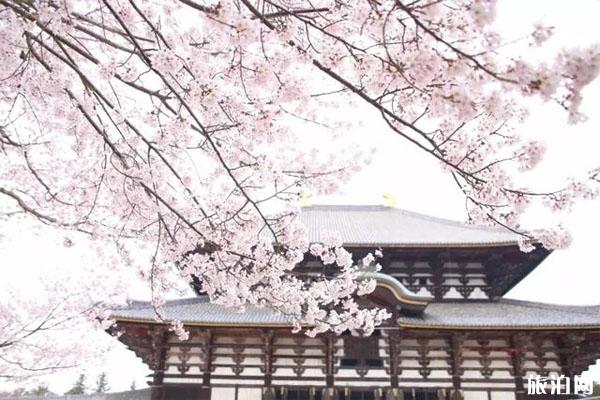 奈良公园里面有几个寺 奈良公园的寺庙叫什么名字