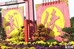 大宋武侠城2019菊花展