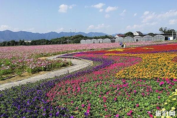 荻浦花海要門票嗎 荻浦花海怎么樣