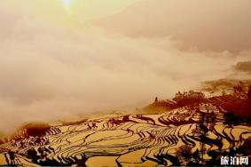 元阳梯田最佳旅游时间是几月份 元阳梯田最佳拍摄点