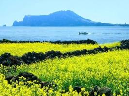 济州岛旅游攻略2020