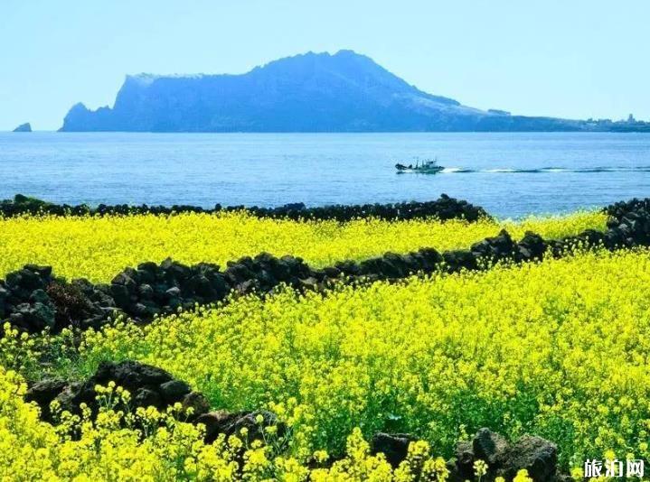 济州岛旅游攻略2020