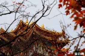 老君山红叶什么时候最美 老君山红叶观赏地点推荐