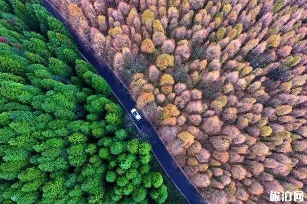 山王坪最佳旅游时间 山王坪在重庆什么地方 山王坪秋色怎么样