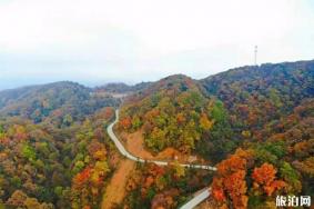 汉江源景区11月活动内容+2019宁强羌族文化旅游节信息