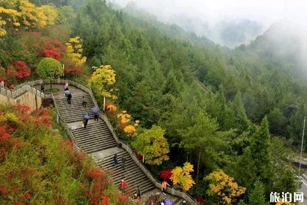 重慶云陽龍缸國家地質公園 重慶云陽龍缸國家地質公園攻略 重慶云陽龍缸景區路線推薦